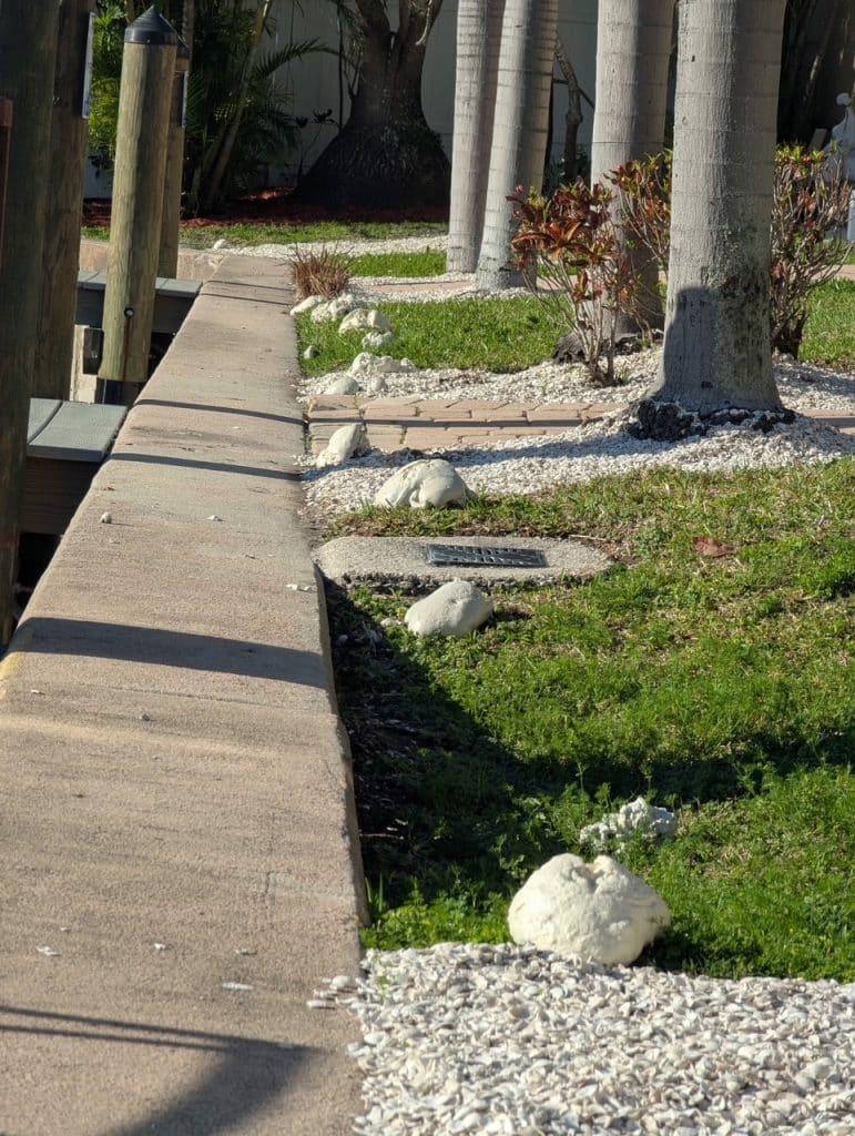 Polyurethane Injection for Seawall Repair Polyurethane Injection for Seawall Repair